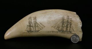 Fine Large Scrimshaw Sperm Whale Tooth Attributed to the Britannia Engraver, 1st quarter of the 19th Century