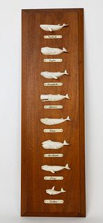 Paul C. Morris Carved Bone 8 Whale Species Plaque