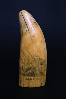 Large Scrimshaw Polychrome Sperm Whale Tooth Ship "Albion", first half of the 19th Century