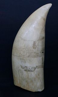 Antique American Scrimshaw Whale Tooth, circa 1860