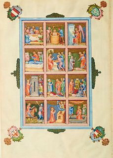   Tacuinum sanitatis: Codex Vindobonensis 2396 (Nationalbiliothek Wien). Mit 294 tls. farbigen Miniaturen und tls. goldgehöhten Initialen. Vollfaksimi