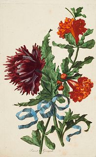   Set aus 3 botanischen Druckgraphiken. Frankreich, 18. u. 19. Jh. Verschiedene Techniken: Lithographie und Kupferstich. Blattmaße von 20,5 x 12,5 cm 