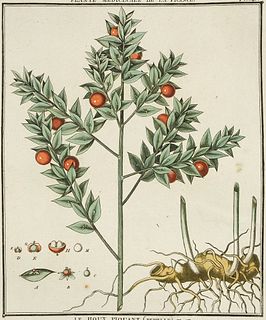 Bulliard, Pierre (Jean Baptiste François) "Sammlung von 85 in Farben gedruckten Kupfertafeln mit Kopftitel ""Plante medicinale de la France"" aus: Her