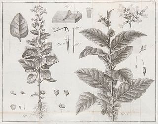 Villeneuve, (de) Traité complet de la Culture, Fabrication et Vente du Tabac. Mit 6 gest. Faltkupfern. Paris, Buisson, 1791. 4 Bll., XVI, 456 S., 1 Bl