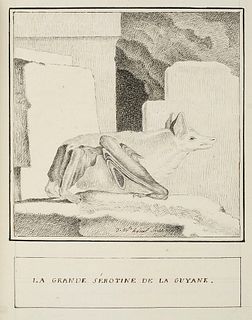 Hoüel, Jean-Baptiste Cahier d'histoire naturelle 1839. Französisches Manuskript mit 19 Original-Zeichnungen. 1839-1848. 1 Hs. Titelbl., 15 S. Handschr