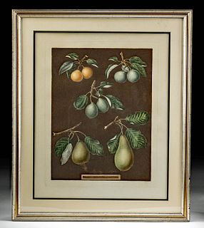1812 Brookshaw Aquatint of Pears, Plate 76