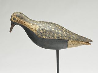 Early black bellied plover, maker unknown from the Eastern Shore, Northampton County, Virginia, mid to late 19th century.