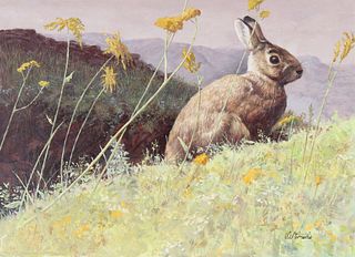 Shannon Stirnweis (B 1931) "Cottontail Rabbit" Oil