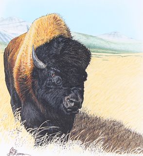 John Benson (B 1949) "Buffalo on Prairie" Original