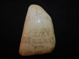 CSS ALABAMA SCRIMSHAW WHALE TOOTH
