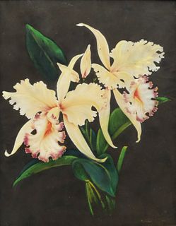 Frank Y. Oda, Orchids