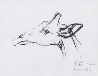 American School, 20th/21st Century Giraffe Sketch