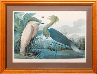 After John James Audubon (1785-1851): Purple Heron