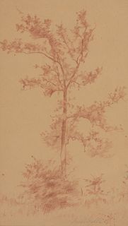 Joseph Stella - Tree, 1900