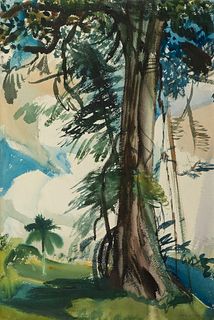 Carl Sprinchorn - Tree Study, Santo Domingo