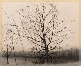 Sylvia Plimack Mangold - "Pin Oak" 1986