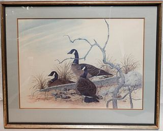 Robin Hill Canada Goose Print