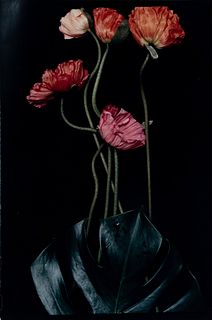 Lialia Kuchma
(20th century)
Three Poppies One and Spectrum of Five Poppies One  (Pair of Works), 1988