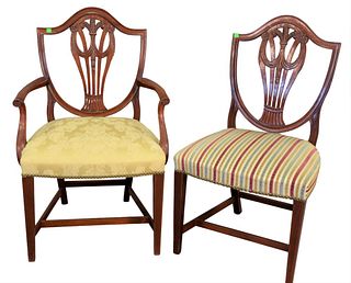 Set of Six Fineberg Custom Mahogany Federal Style Dining Chairs, having plume carved backs, two arm and four side, seat height 17 1/2".