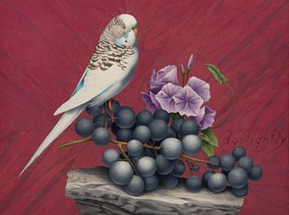 Douglas Golightly
 (American, b. 1931)
Budgie and Grapes