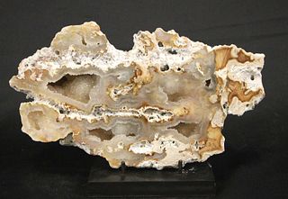 AGATIZED CORAL SPECIMEN ON STAND