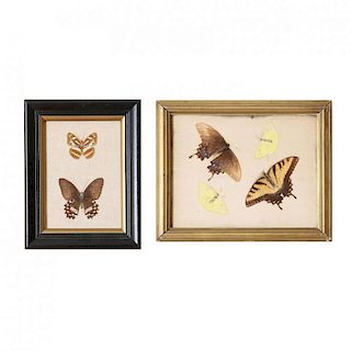 Two Framed Groups of Moths