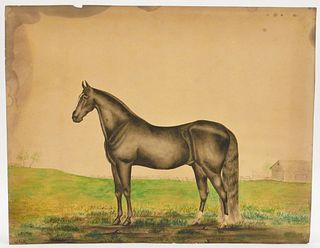 19C American Folk Art Prized Horse WC Painting