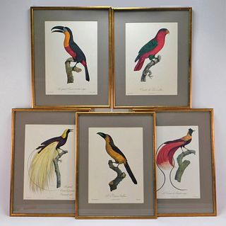 5PC Aft. Jacques Barraband Exotic Bird Lithographs
