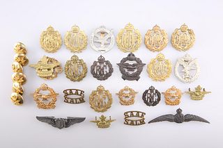 TWENTY-FOUR BADGES AND SIX BUTTONS OF BRITISH ALLIED AIR FO