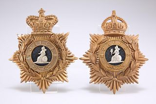 TWO EXAMPLES OF OTHER RANKS' PATTERN HELMET PLATES OF THE N