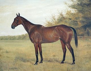 A.E.D.G. STIRLING-BROWN, "JOAN OF ARC", STUDY OF A HORSE IN