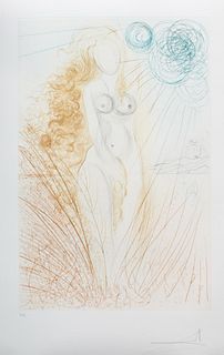 Salvador Dali - Birth of Venus