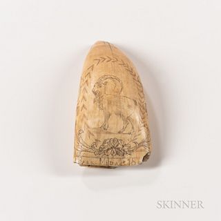 Scrimshaw-decorated Whale's Tooth, America, early 19th century, with a long-horned goat surrounded by flowering scrolls and vines above