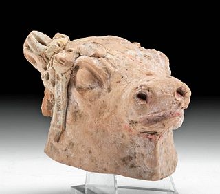 Hellenistic Greek Polychrome Head of Bull