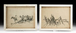 Two H. D. Bugbee Drawings - Horses & Pronghorns, 1950s