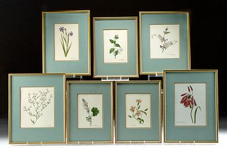 7 Framed & Signed Vintage Botanical Prints