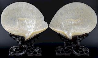 Pair of 19th century Chinese Mother of pearl shells carved with dragons and figures, 24cm by 28cm on