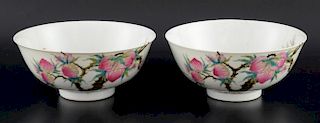 Pair of Chinese porcelain bowls each decorated with fruiting and flowering peach trees ands three ba