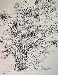 Peter Takal (1905-1995) Ink – Study of a Tree