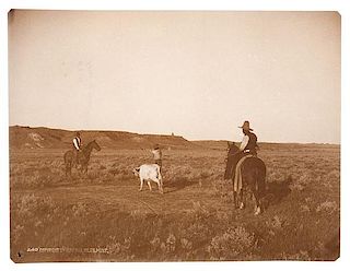 L.A. Huffman, Photograph of Cowboys Roping a Calf 
