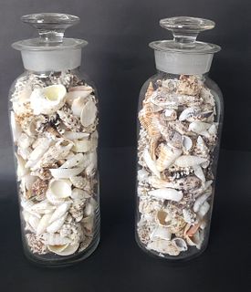 Two Antique Apothecary Jars Filled with Seashells