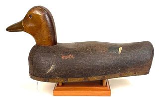 Early Period Herter Black Duck