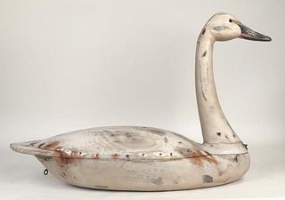 New Jersey Swan Decoy