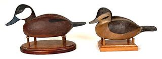 Pair of Ruddy Ducks by Alberto Williams