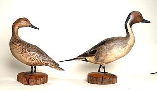 Pair of Pintails by Homer Lawrence, Norwalk, CT