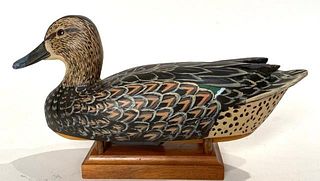 Green Winged Teal Hen by Woodson Roddy