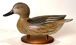 Blue-winged Teal Hen by William Goenne