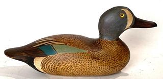 Bluewinged Teal Drake with a Factory Body