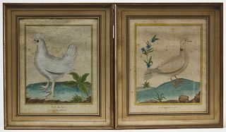 Two Early Hand Colored Bird Prints - Martinet