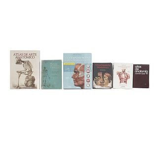 Libros sobre anatomía. Atlas de Arte Anatómico /  El Cuerpo Humano / The Complete Atlas of Human Anatomy and Surgery. Pzs: 6.